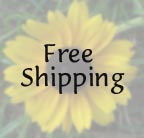 Free & Fast Shipping